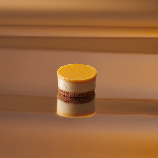 Passie & Kokos Cheesecake