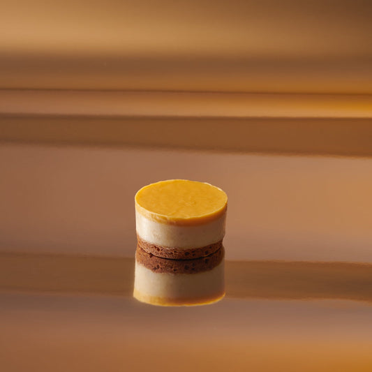 Passie & Kokos Cheesecake Petit Four